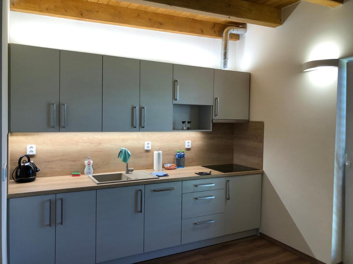 Anico Apartmany Dolni Benesov 외부 사진