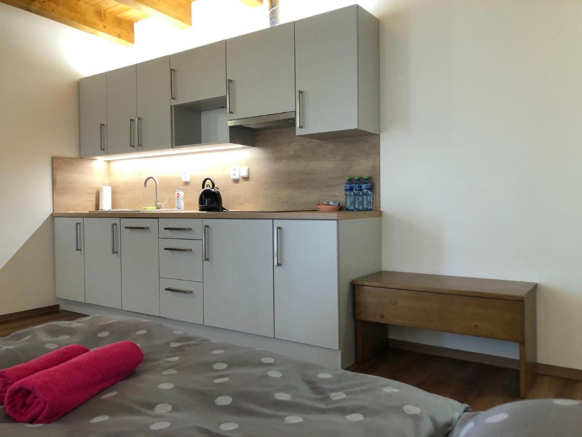 Anico Apartmany Dolni Benesov 외부 사진