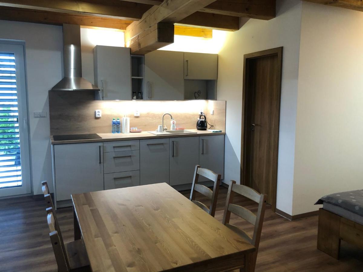 Anico Apartmany Dolni Benesov 외부 사진