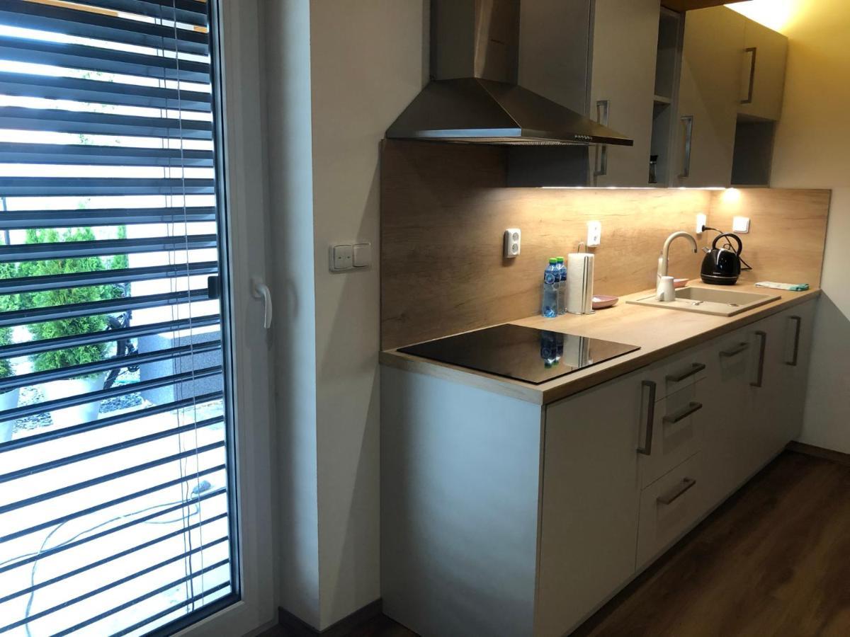 Anico Apartmany Dolni Benesov 외부 사진