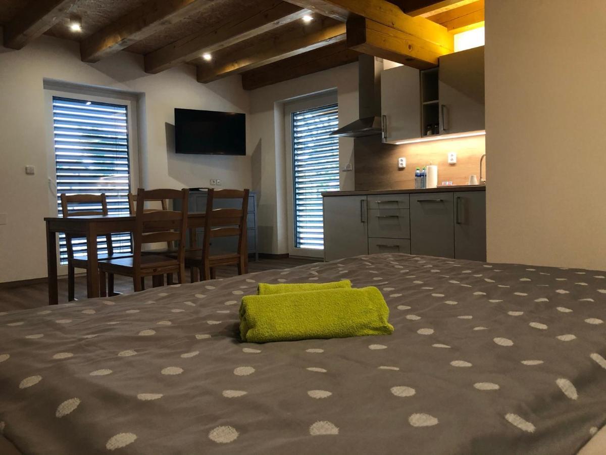Anico Apartmany Dolni Benesov 외부 사진